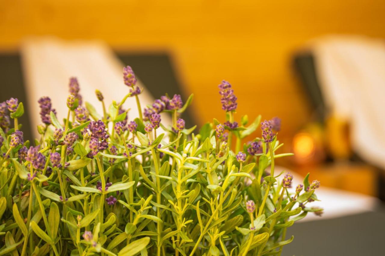 Wellnessoase Mitten In Triberg Triberg im Schwarzwald Extérieur photo